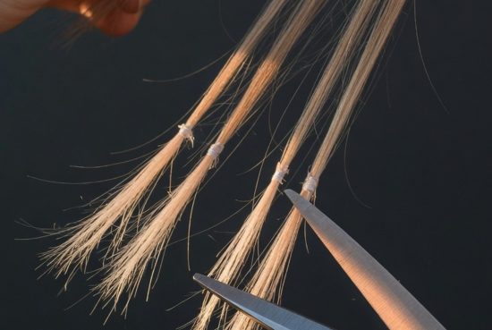 Main tenant une mèche de cheveux longs, pointes fourchues visibles, éclairage latéral sur fond sombre.